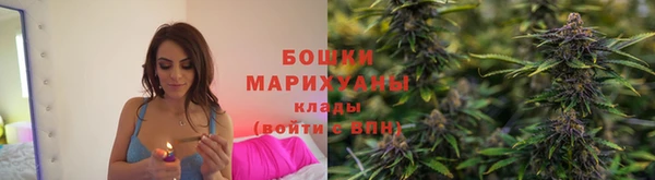 гидра Нефтекумск