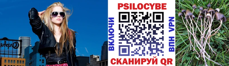 Галлюциногенные грибы Psilocybe  Ядрин 